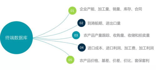 全國玉米、大豆、小麥價格數(shù)據(jù)及后期走勢分析——基于計算機軟件技術(shù)開發(fā)