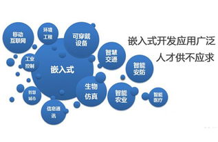 嵌入式系統發展前景廣闊，計算機軟件技術開發者需關注